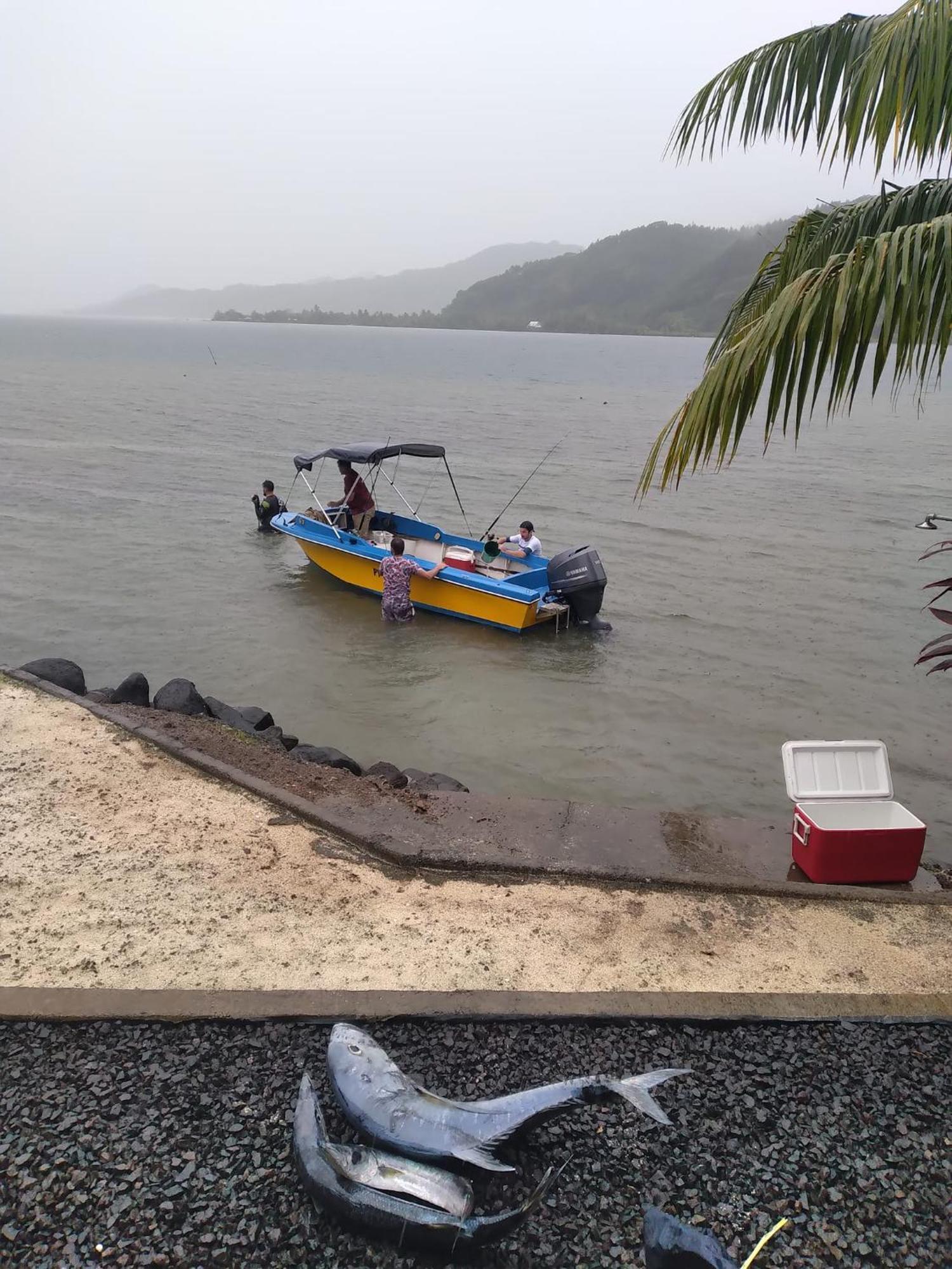 Villa De La Baie Raiatea - Bord De Mer Uturoa Eksteriør bilde